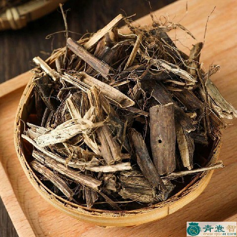 中药材地排草图片