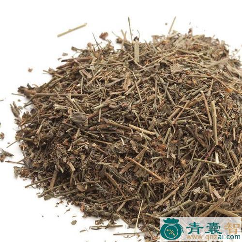 中药材地棚窝草图片
