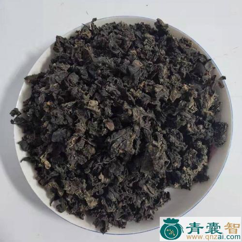 中药材地皮菜图片