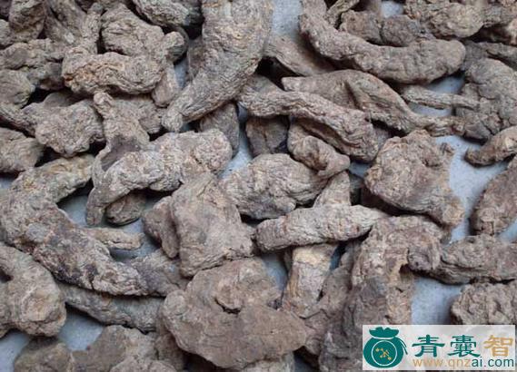 中药材地筋图片