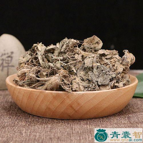 中药材地胆草图片