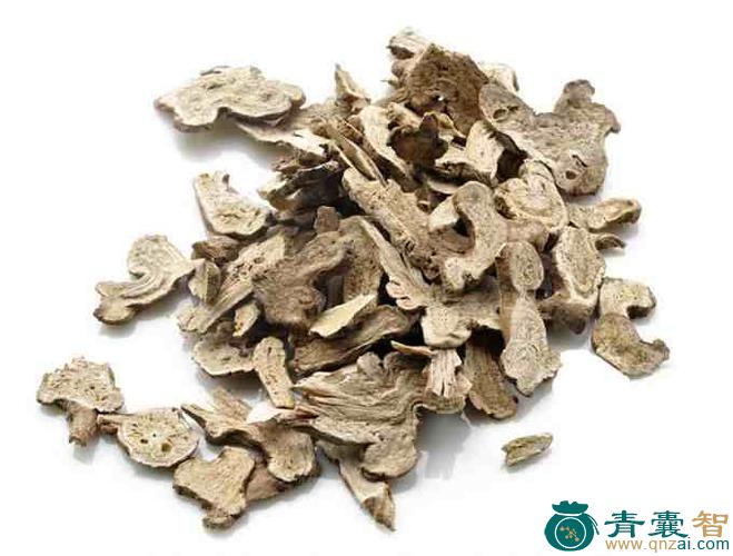 中药材地脂图片