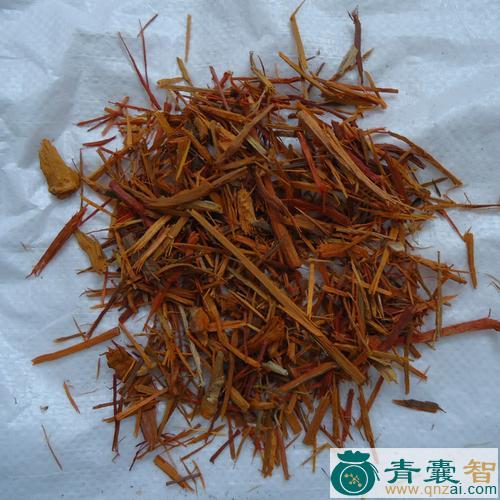 中药材地苏木图片