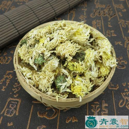 中药材地菊花图片