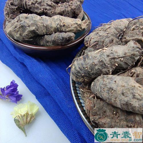 中药材地蜂图片