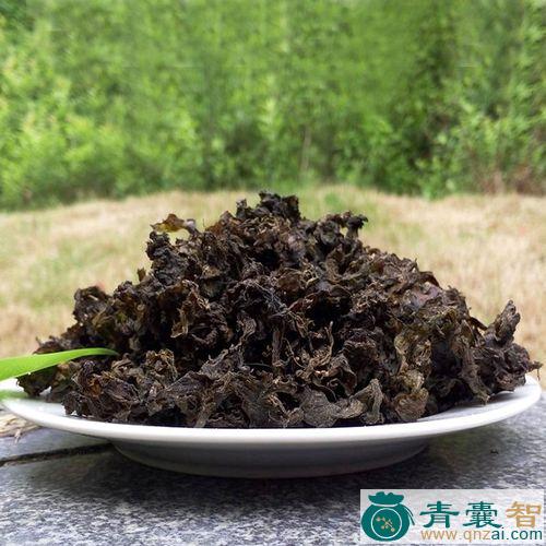 中药材地软图片