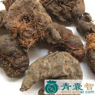 中药材地马蜂图片