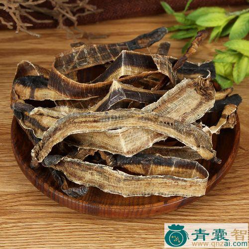 地龙的性状性味归经以及功效用法和注意事项-青囊智