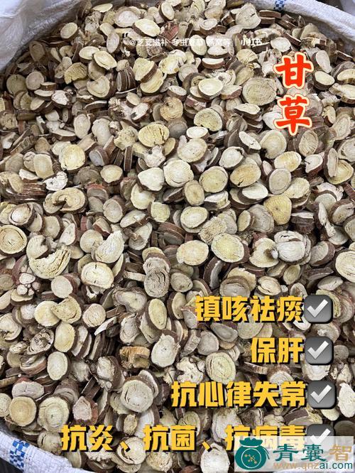 中药材坑草图片