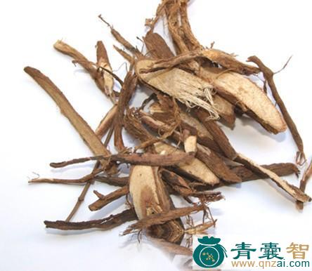 坠千斤的性状性味归经以及功效用法和注意事项-青囊智