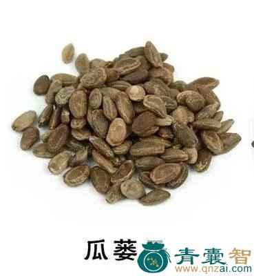 中药材坭瓜图片