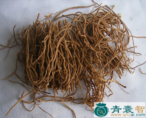 中药材墨柱根图片