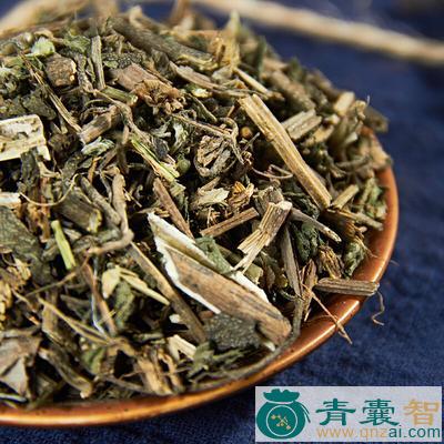 中药材墨草图片