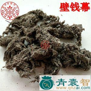 壁钱茧的性状性味归经以及功效用法和注意事项-青囊智