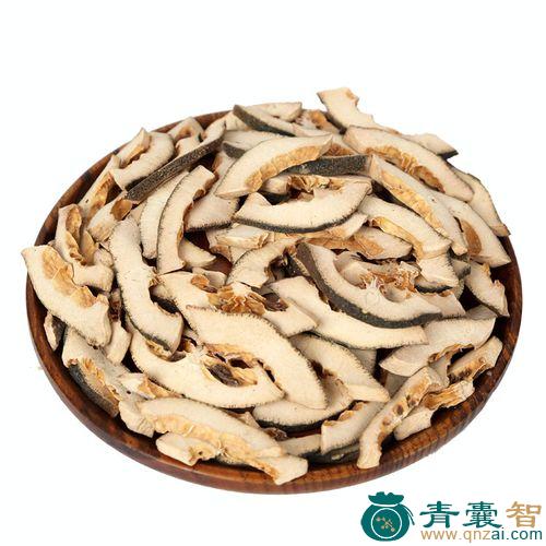壳菜的性状性味归经以及功效用法和注意事项-青囊智