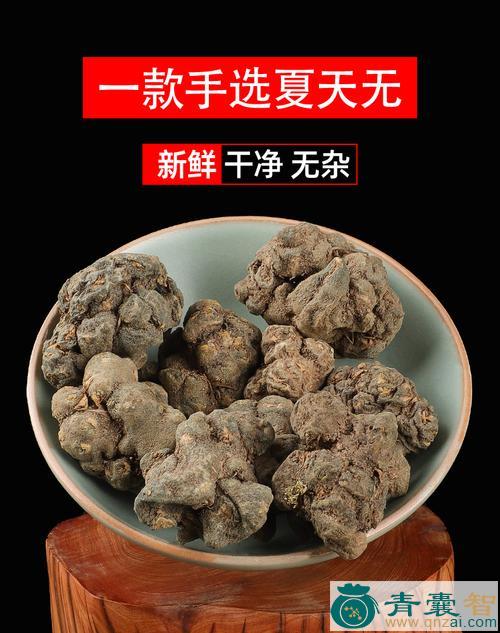 夏天无的性状性味归经以及功效用法-青囊智