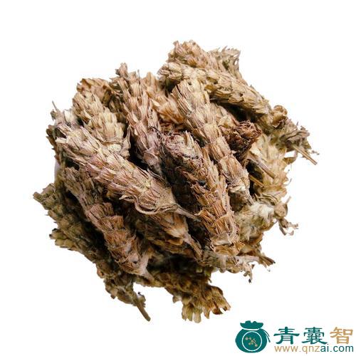 中药材夏闭草图片