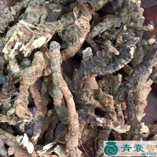 中药材外菖蒲图片