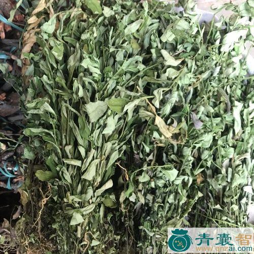 中药材多年红图片