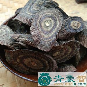 中药材夜光图片