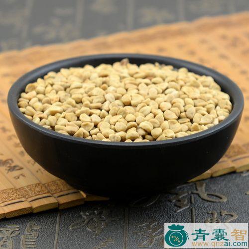 夜拉子的性状性味归经以及功效用法和注意事项-青囊智
