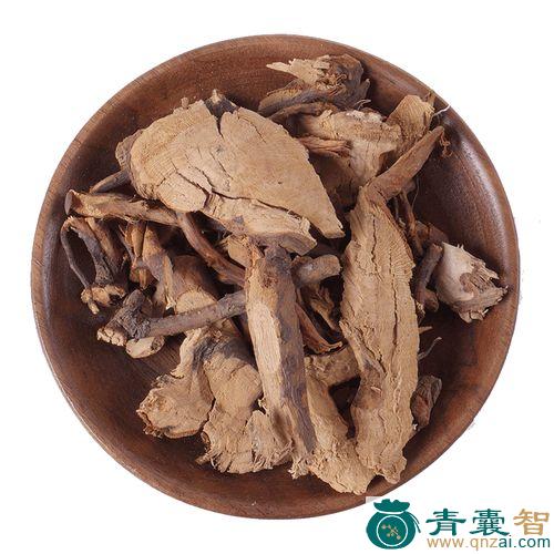 大凉伞的性状性味归经以及功效用法和注意事项-青囊智