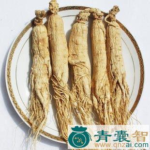 大参的性味归经以及功效用法-青囊智