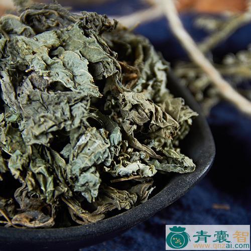中药材大叶南苏图片