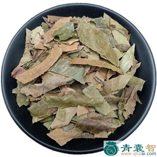 中药材大叶子图片