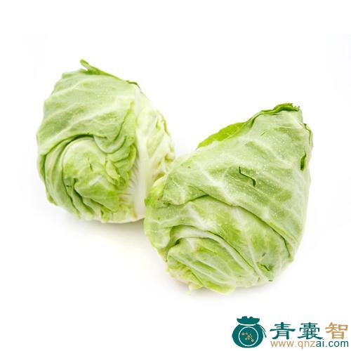 中药材大叶牛心菜图片