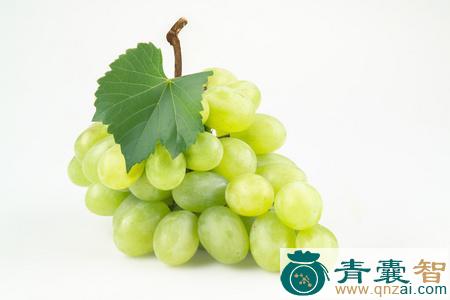 中药材大叶绿葡萄图片