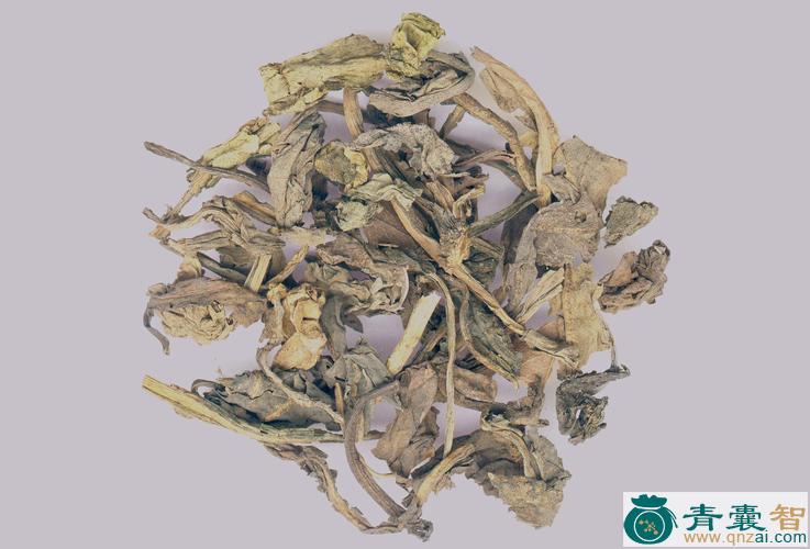 大叶铡草的性状性味归经以及功效用法和注意事项-青囊智