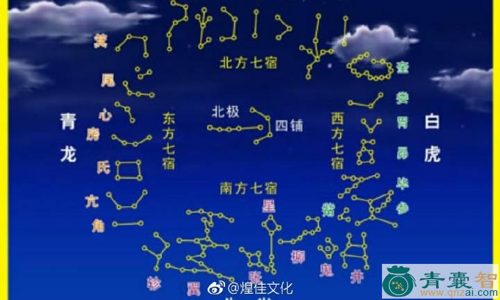 中药材大地星宿图片