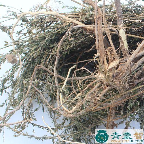 中药材大夜关门根图片