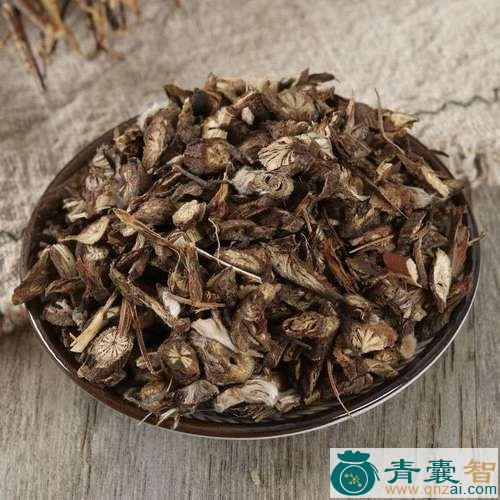 中药材大头翁图片