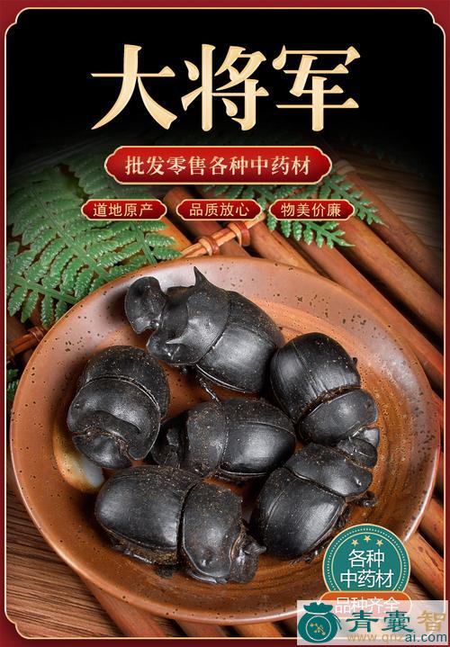 中药材大将军图片