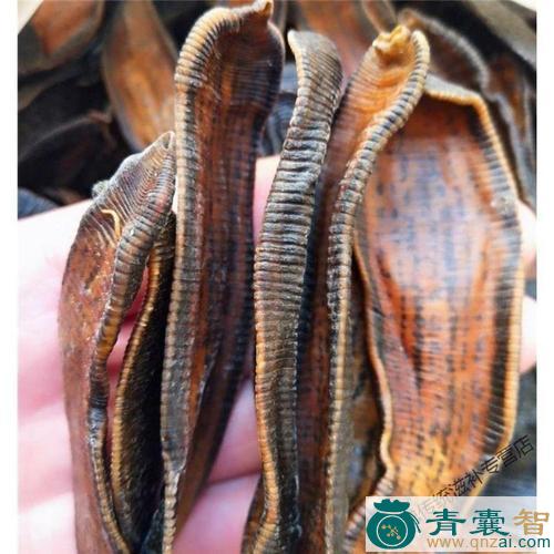中药材大山蚂蝗图片