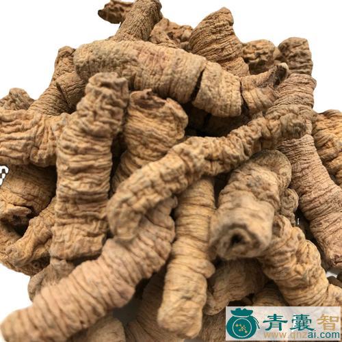 大巴戟的性状性味归经以及功效用法-青囊智