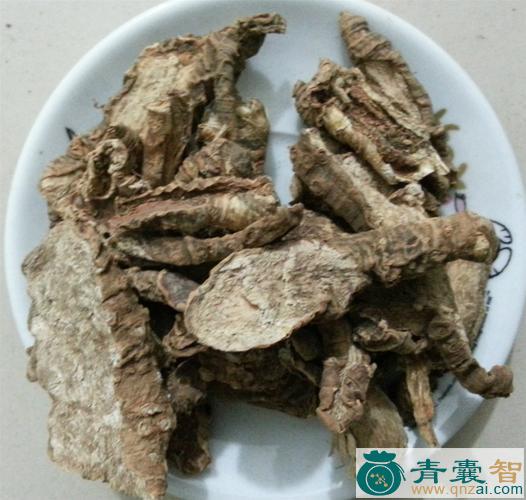 中药材大心不甘图片