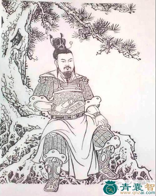 大树将军-青囊智