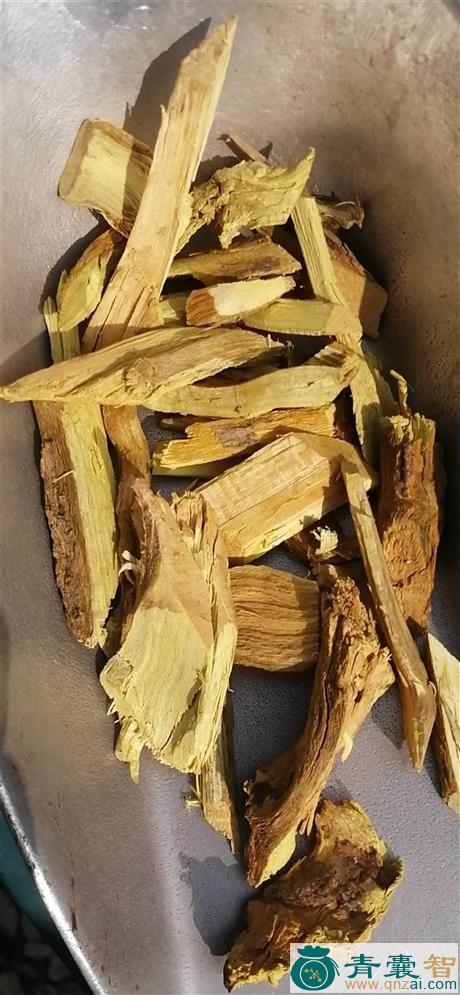 中药材大树跌打图片