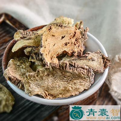 大活的性状性味归经以及功效用法和注意事项-青囊智