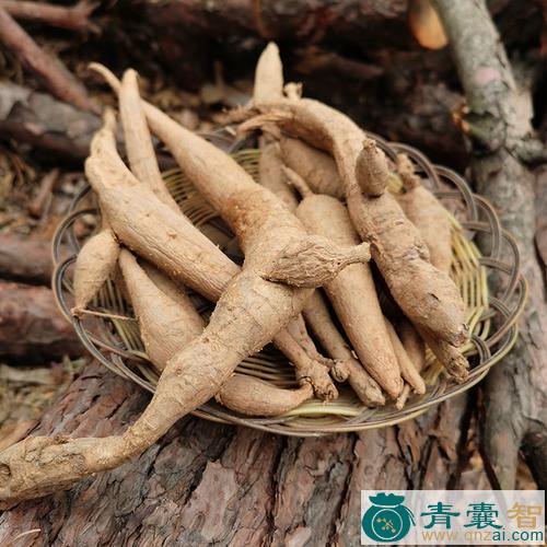 中药材大牛昂图片