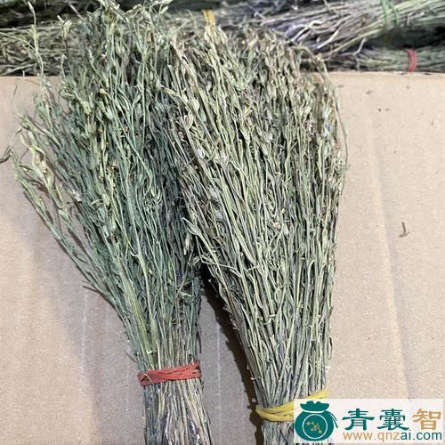 中药材大独脚金图片