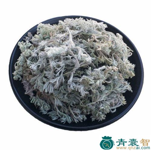 大白蒿的性状性味归经以及功效用法-青囊智