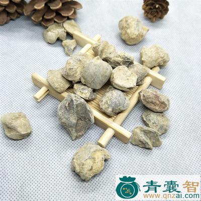 大石燕的性状性味归经以及功效用法和注意事项-青囊智