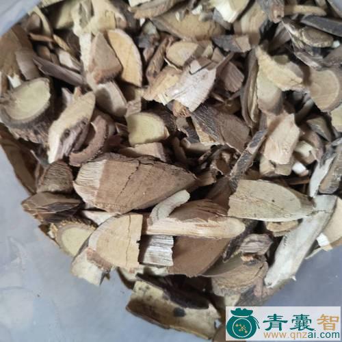 中药材大种毛葫芦图片
