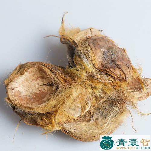 中药材大腹绒图片