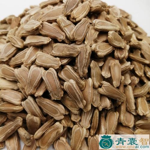 中药材大芦子图片