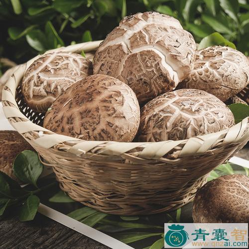 中药材大花菌图片